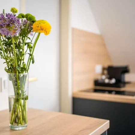 Servus By Homaris Mnichov